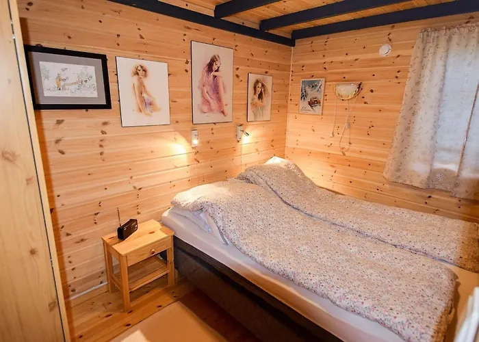 Holiday home 6 Person In Borkenes-by Traum *