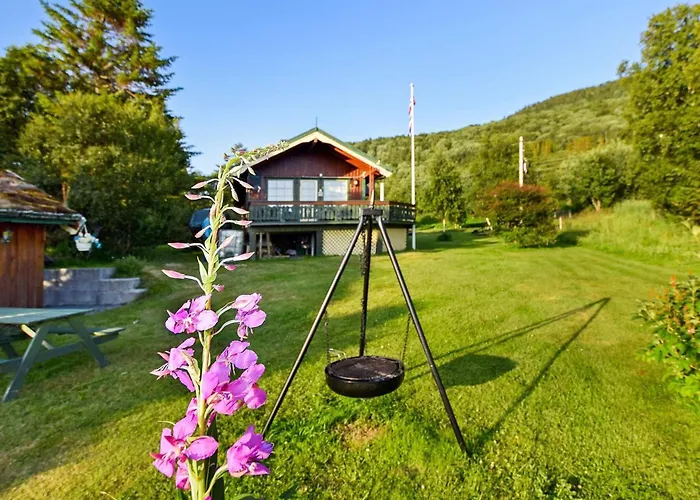 6 Person In Borkenes-by Traum