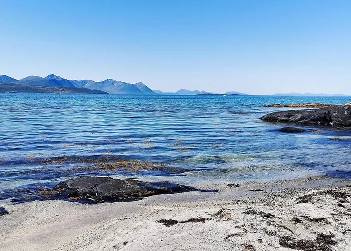 6 Person In Borkenes-by Traum