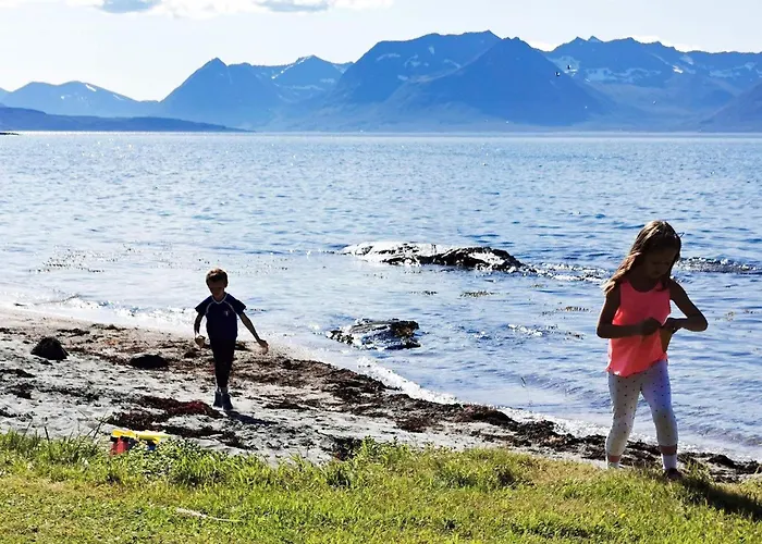 Holiday home 6 Person In Borkenes-by Traum *