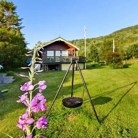 6 Person In Borkenes-by Traum