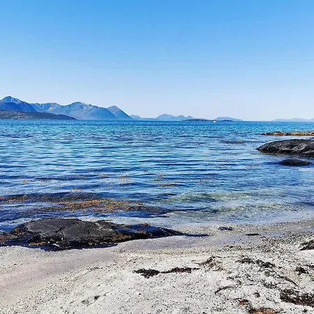 6 Person In Borkenes-by Traum